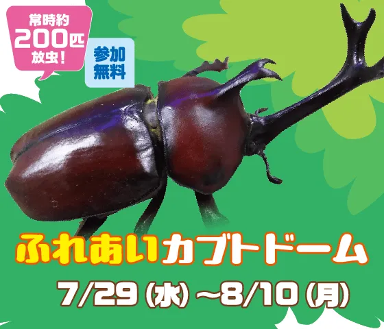 ふれあい昆虫ランド カブトドーム