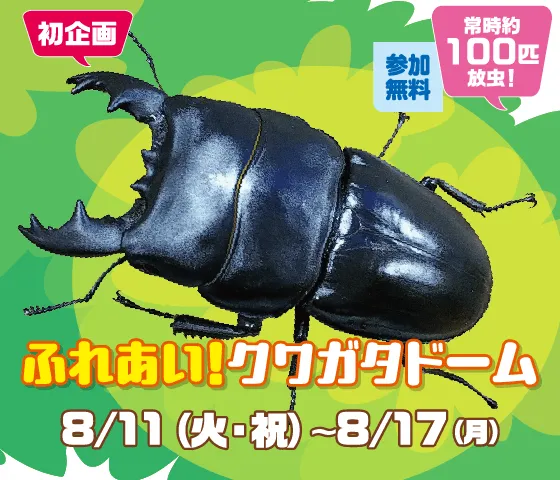 ふれあい昆虫ランド クワガタドーム