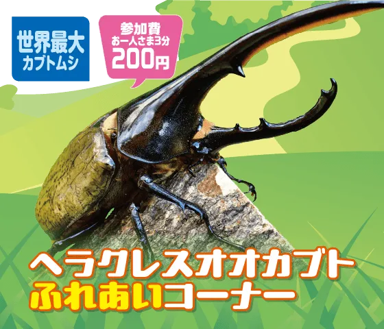 ふれあい昆虫ランド ヘラクレス
