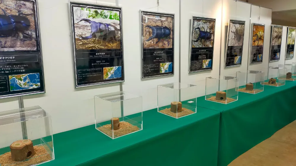 ふれあい昆虫ランド 展示
