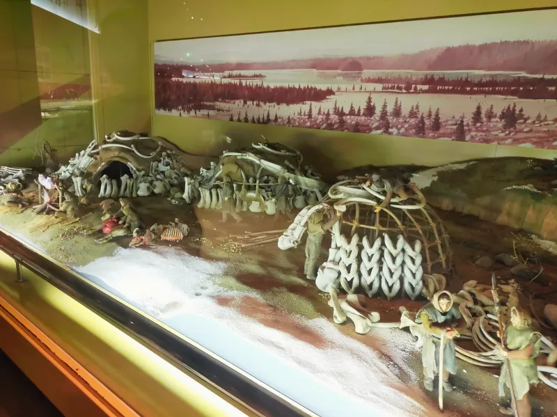 リトルワールド　本館展示